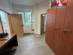 Pronájem obchodního prostoru, Tábor, U Čápova dvora, 415 m2