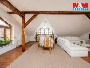 Prodej rodinného domu, Karviná - Nové Město, Palackého, 400 m2