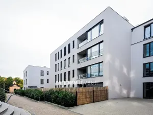 Prodej garážového stání, Praha - Strašnice, Třebohostická, 13 m2