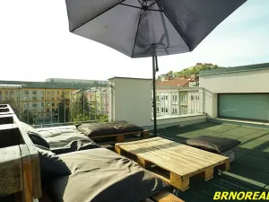 Pronájem bytu 1+kk, Brno, Vodní, 20 m2