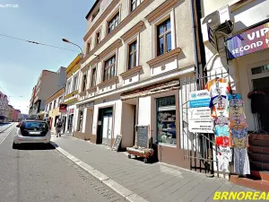 Pronájem bytu 1+kk, Brno, Vodní, 20 m2