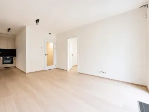 Pronájem bytu 2+kk, Praha - Hloubětín, Poděbradská, 52 m2
