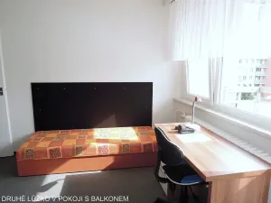 Pronájem pokoje, Brno, Běloruská, 50 m2