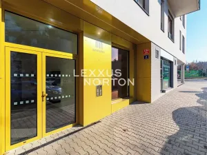 Pronájem bytu 2+kk, Praha - Nusle, Maroldova, 57 m2