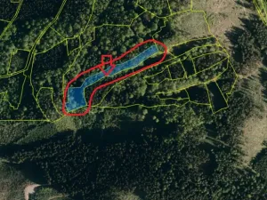 Prodej lesa, Zděchov, 5729 m2