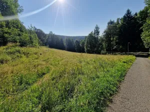 Prodej pozemku pro bydlení, Dolní Dvůr, 5218 m2