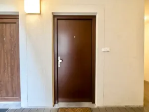 Prodej bytu 1+kk, Brno, 30 m2