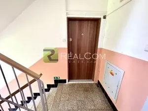Prodej bytu 2+1, Brno, Svatopluka Čecha, 50 m2