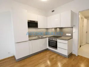 Pronájem bytu 1+kk, Praha - Třebonice, Do zahrádek I, 38 m2