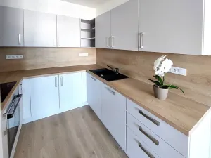 Pronájem bytu 3+kk, Brno, U Červeného mlýna, 97 m2