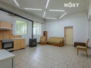 Prodej obchodního prostoru, Petrov, 615 m2