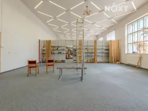 Prodej obchodního prostoru, Petrov, 615 m2