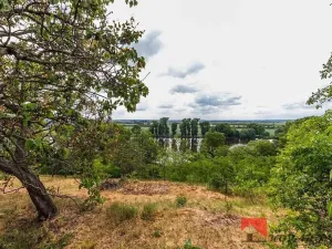 Prodej pozemku pro bydlení, Žalhostice, 2627 m2