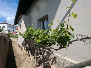 Prodej rodinného domu, Charváty, 52 m2