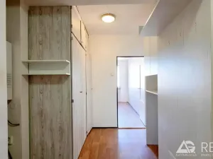 Prodej bytu 3+1, Praha - Vinohrady, náměstí Míru, 62 m2