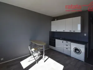 Prodej bytu 1+1, Chomutov, Dřínovská, 36 m2