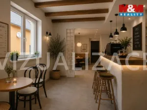 Prodej ubytování, Zruč nad Sázavou, 1. máje, 250 m2