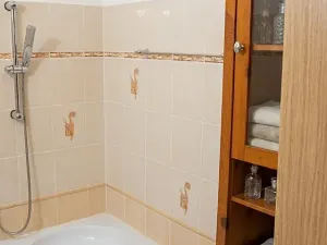Pronájem bytu 3+1, České Budějovice, Dobrovodská, 66 m2