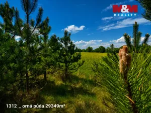Prodej pozemku, Pňov-Předhradí, 151762 m2