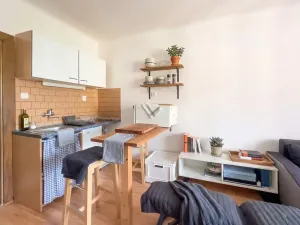 Prodej bytu 1+kk, České Budějovice, Lipenská, 34 m2