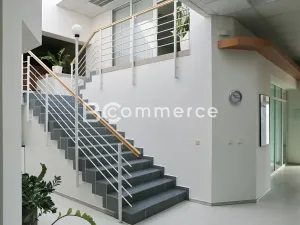 Pronájem kanceláře, Brno, Vídeňská, 504 m2