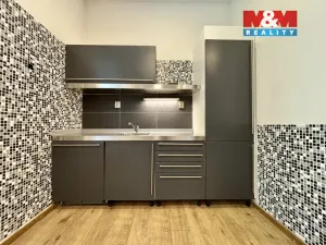Pronájem bytu 1+kk, Ostrava - Vítkovice, Ruská, 57 m2