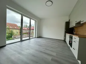 Pronájem bytu 2+kk, Milovice, Kaštanová, 49 m2