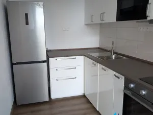 Pronájem bytu 1+1, Praha - Záběhlice, Ellnerové, 36 m2