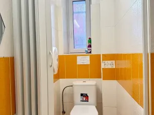 Pronájem skladu, Plzeň, Zikmunda Wintra, 520 m2