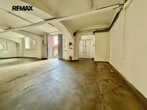 Pronájem skladu, Plzeň, Zikmunda Wintra, 520 m2