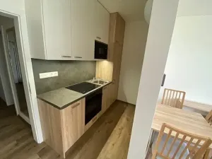 Pronájem bytu 1+kk, Jihlava, Okružní, 33 m2