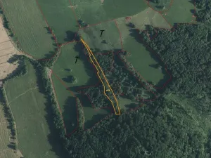 Prodej pole, Česká Kamenice - Horní Kamenice, 5161 m2