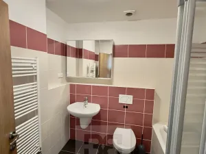 Pronájem bytu 2+kk, Praha - Dejvice, Lindleyova, 51 m2