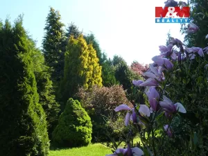 Prodej pozemku pro bydlení, Velké Poříčí, 5000 m2