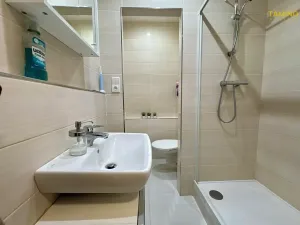 Pronájem bytu 1+1, Třebíč, Modřínová, 46 m2