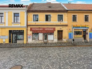 Prodej rodinného domu, Kostelec nad Černými lesy, Pražská, 250 m2
