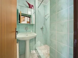 Prodej rodinného domu, Luka nad Jihlavou, Horní, 255 m2