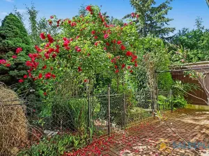 Prodej rodinného domu, Brno, Jungmannova, 219 m2