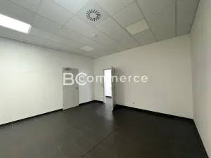 Pronájem kanceláře, Brno, Letiště Brno-Tuřany, 300 m2
