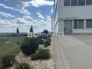 Pronájem kanceláře, Brno, Letiště Brno-Tuřany, 300 m2