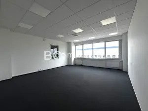 Pronájem kanceláře, Brno, Letiště Brno-Tuřany, 600 m2