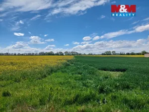 Prodej pozemku pro bydlení, Pňov-Předhradí - Pňov, 9647 m2
