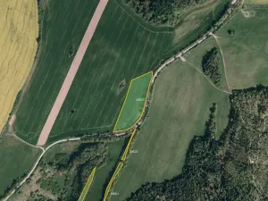 Prodej louky, Město Albrechtice, 64132 m2
