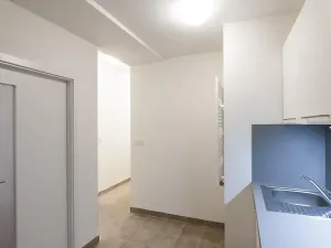 Pronájem bytu 2+1, Praha - Bubeneč, U zeměpisného ústavu, 44 m2
