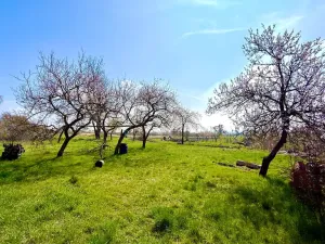 Prodej rodinného domu, Podsedice, 290 m2