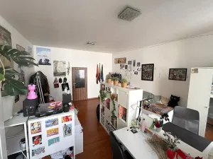 Pronájem bytu 4+kk, Brno, Novobranská, 92 m2