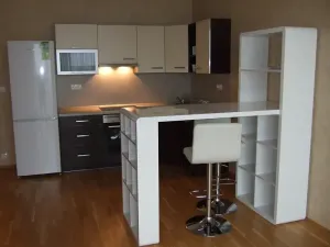 Pronájem bytu 1+kk, Praha - Vinohrady, Korunní, 45 m2