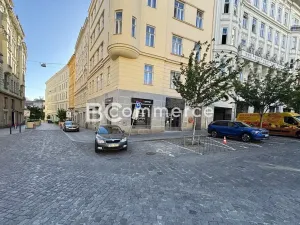 Pronájem obchodního prostoru, Brno, 109 m2