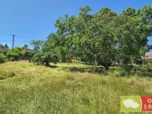 Prodej rodinného domu, Březová-Oleško, 298 m2
