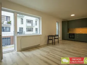 Pronájem bytu 1+kk, Praha - Strašnice, Štěchovická, 45 m2
